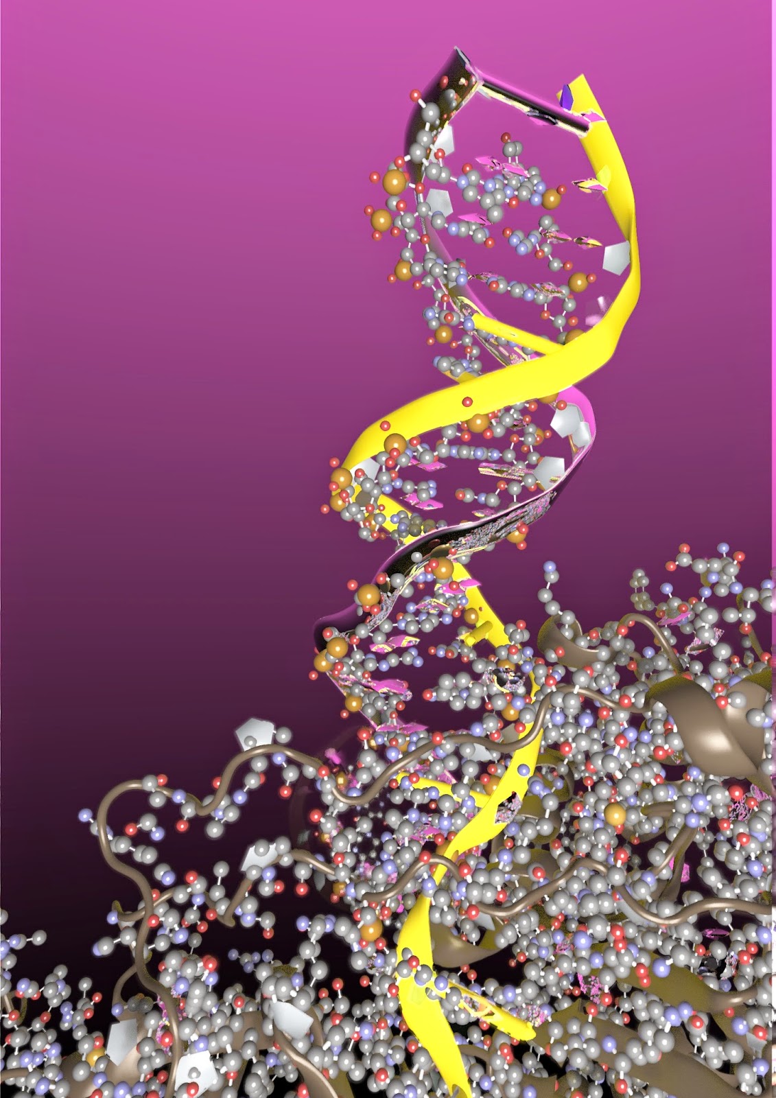 Large Scale & Interactive Scientific Visualization: Molecular Visualization