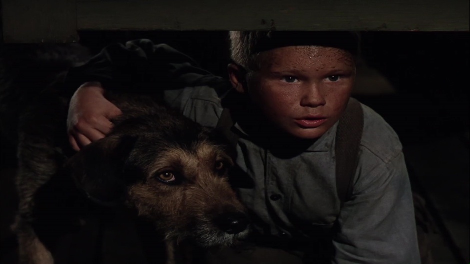 OS BRUTOS TAMBÉM AMAM (DUAL ÁUDIO/1080P) – 1953 Vlcsnap-00014