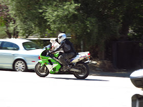 Kawasaki ZX7 With Dog Mulholland Highway Los Angeles