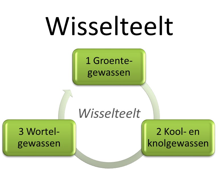 wisselteelt vruchtwisseling moestuin volkstuin