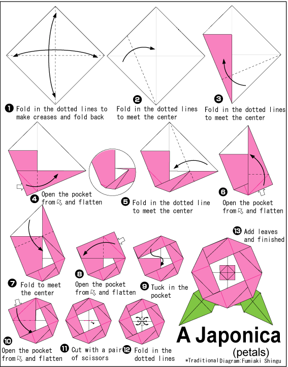 Camellia Japonica - Easy Origami instructions For Kids