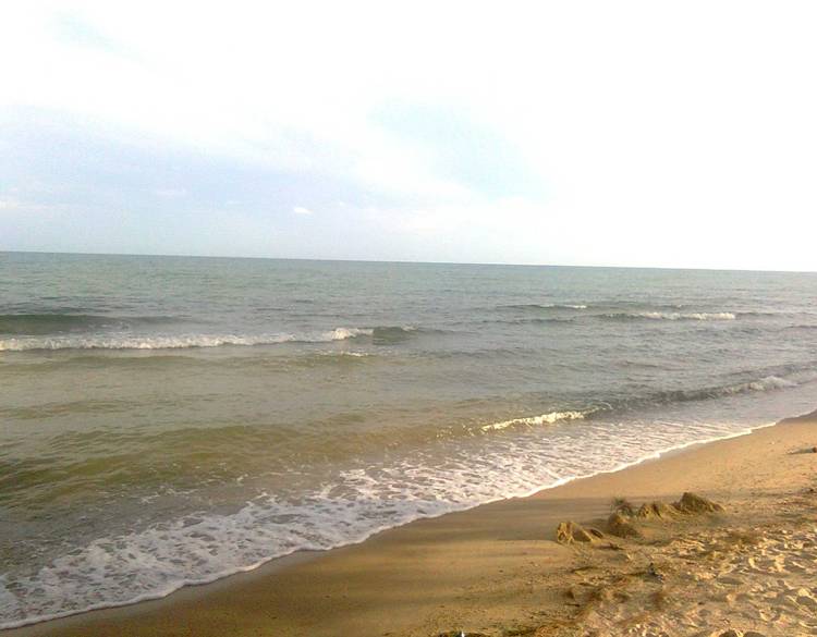 The Batu Berdaun Beach Dabo Singkep - PAPATITI ONLINE