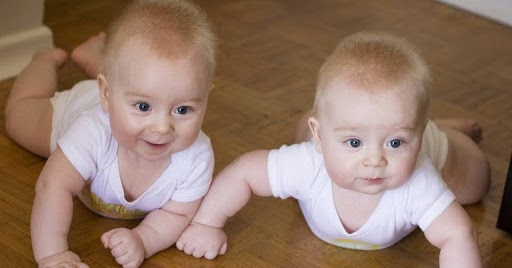 funny twin babies