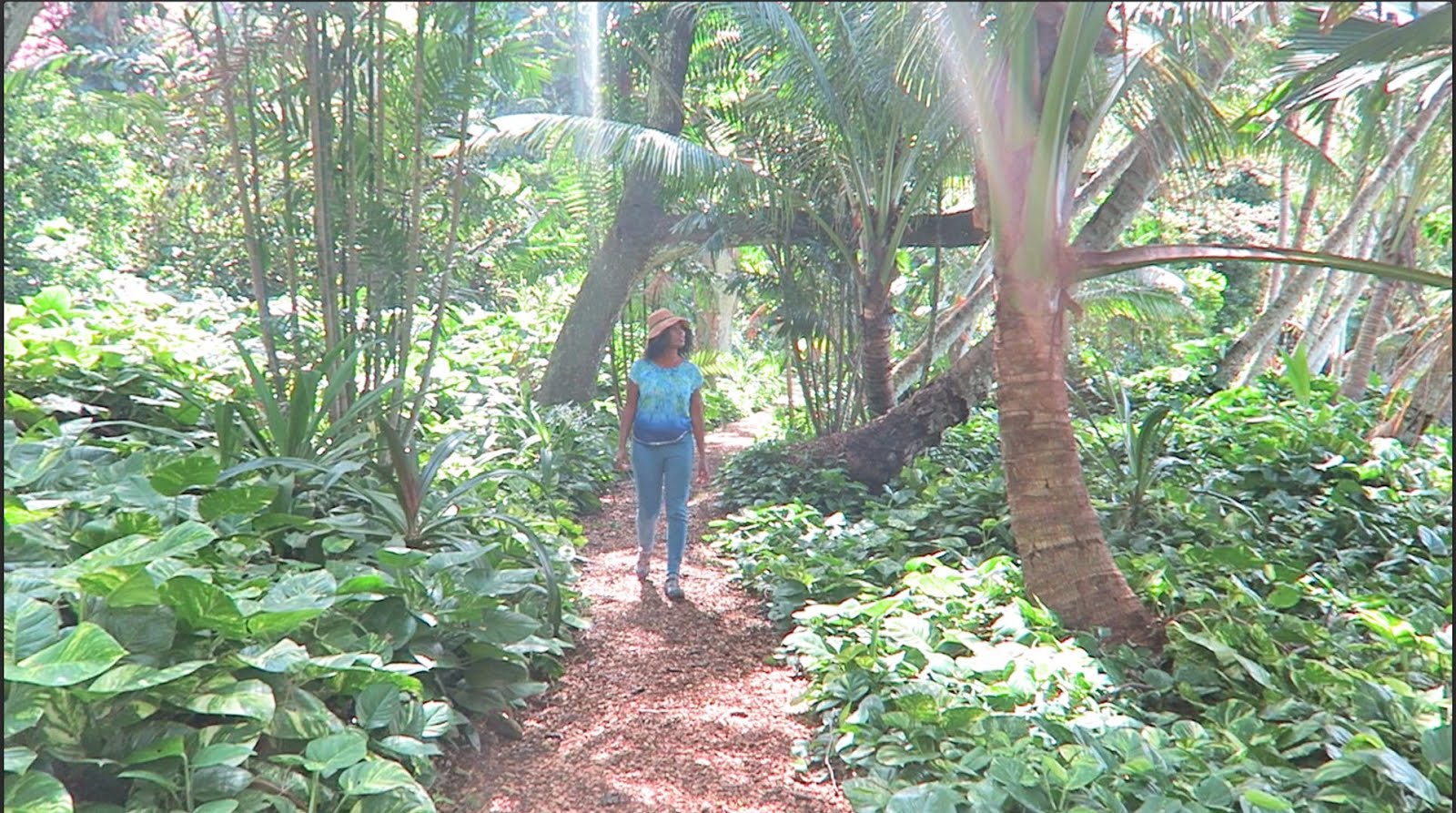 3 things to see at the National Tropical Botanical Garden in Kauai