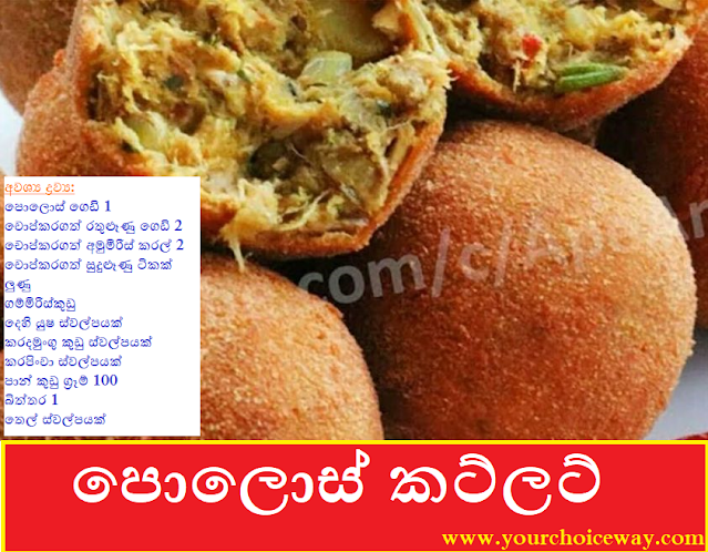 පොලොස් කට්ලට් (Polos Cutlet) - Your Choice Way