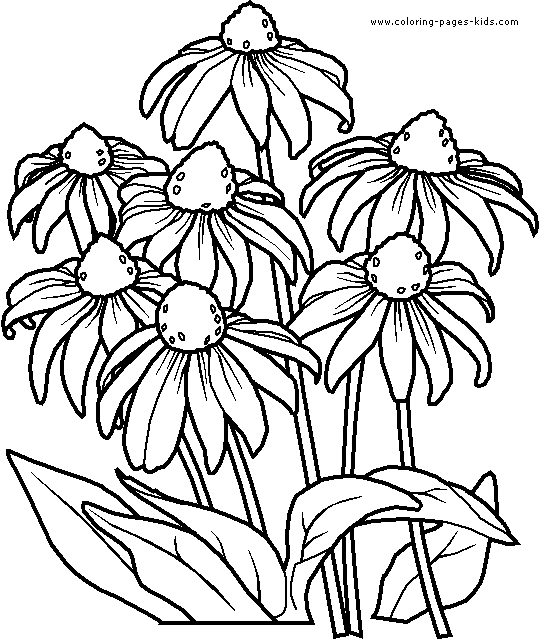 Printable Flower Coloring Pages - Flower Coloring Page