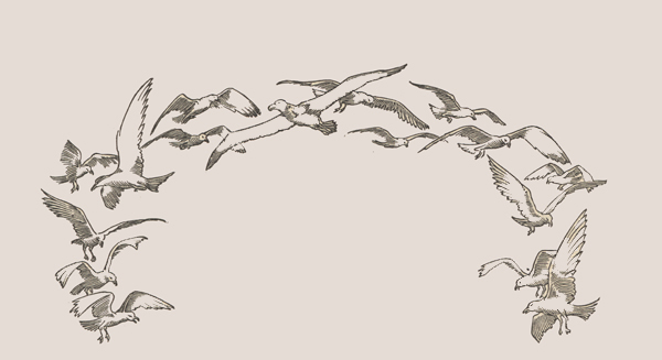 Чайка эскиз тату