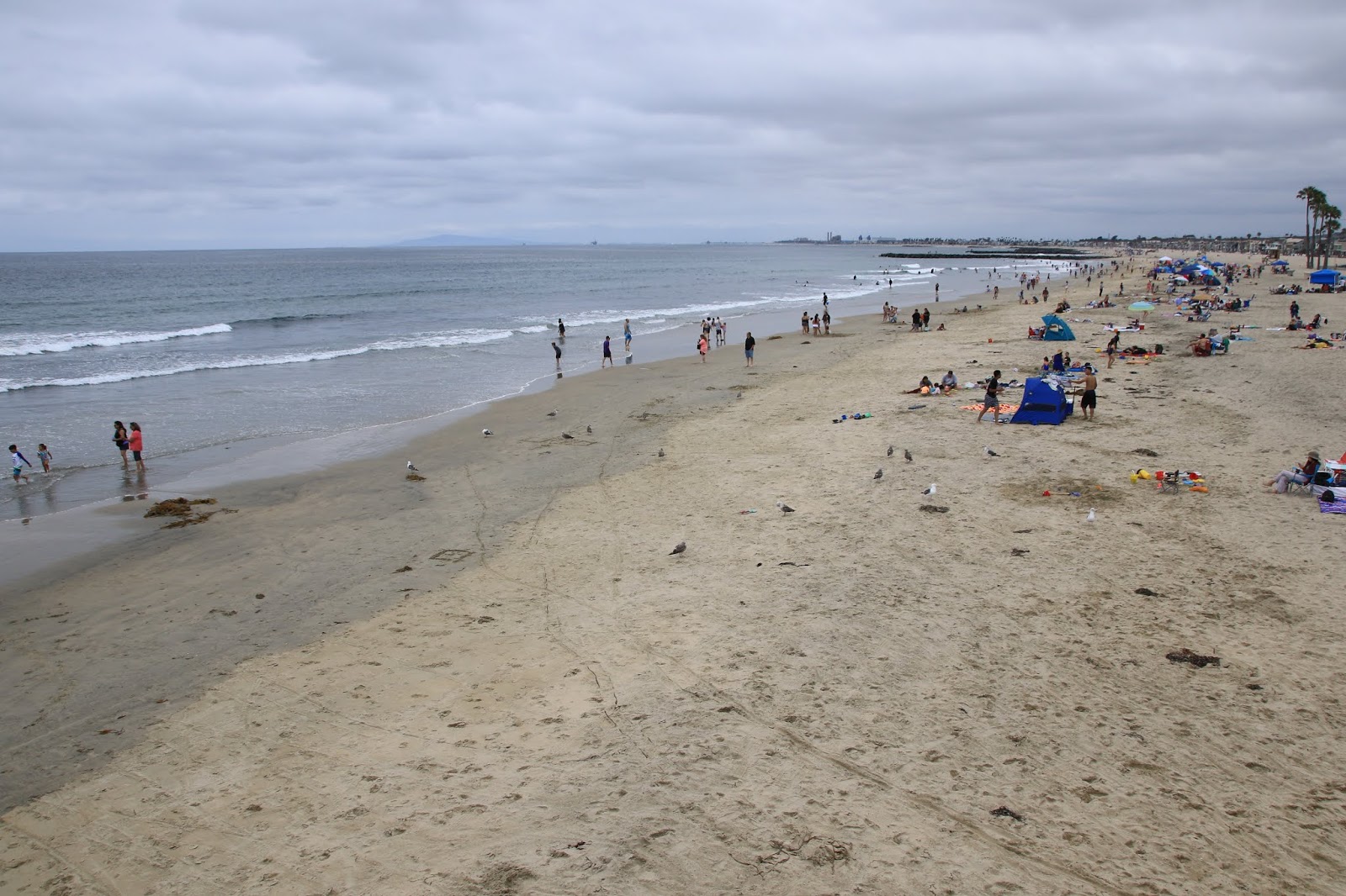 Travels with Twinkles Long Beach, California