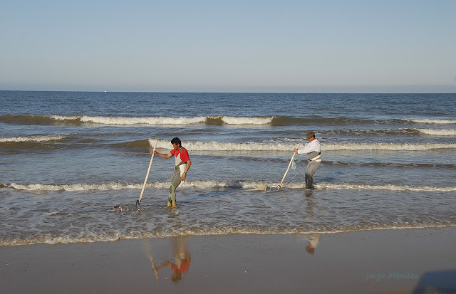 Coquineros arrastrando el rastro para capturar coquina en la playa del Parque Nacional de Doñana. Patrimonio de la Humanidad
