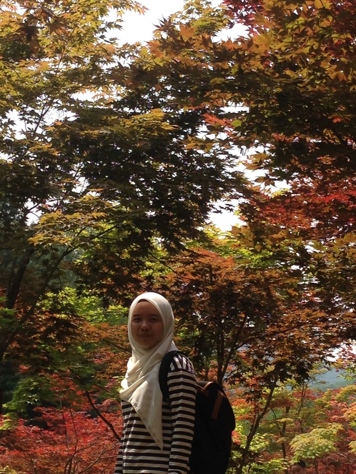 Ceritaku Ilhamku Hidupku Trip Adik Kakak Ke Korea Selatan May 
