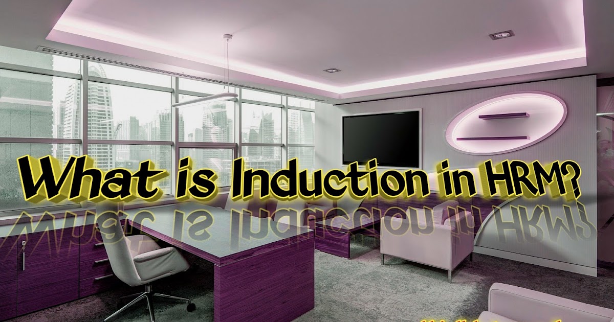 What is Induction in HRM? Meaning, Features, Objectives, Phases