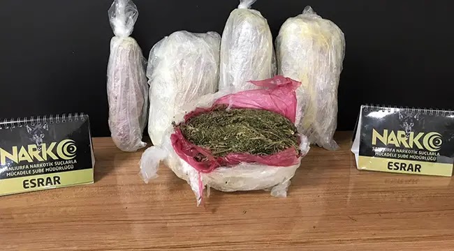 Uyuşturucu operasyonunda 10 gözaltı