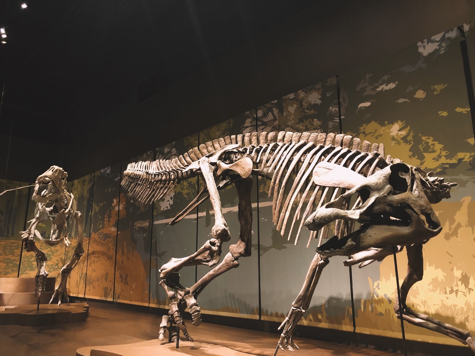 Tellus Science Museum the active spirit.