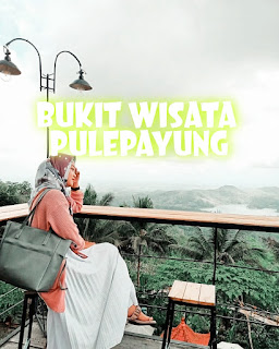 Foto Instagram Bukit Wisata Pulepayung