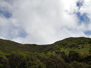 PORTUGAL / Algar do Carvão, Ilha Terceira, Açores, Portugal