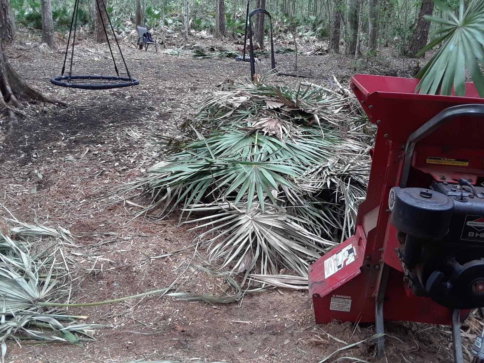 How To Compost Palmetto Palms