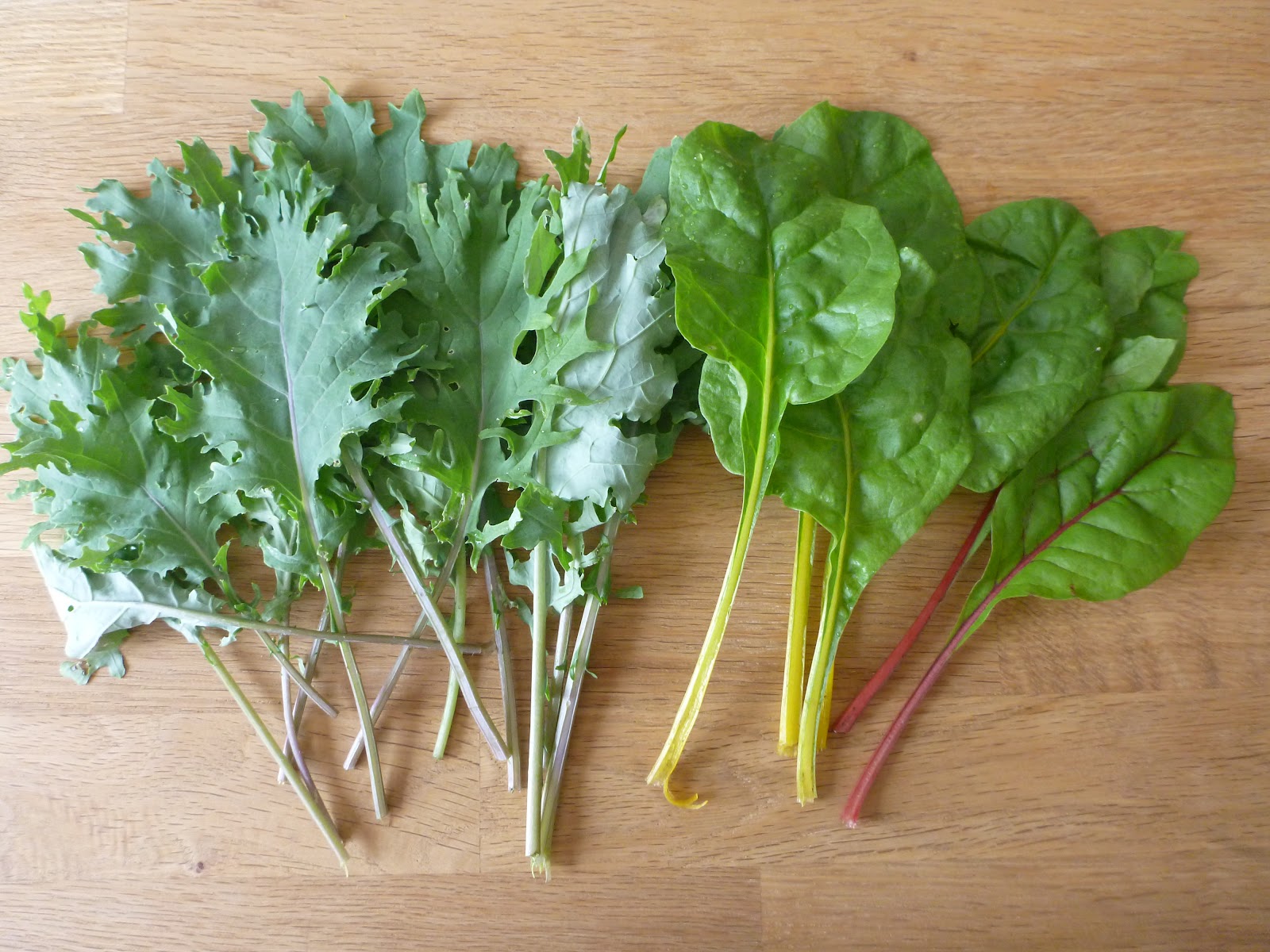 Where the Veggies Are Kale and Swiss Chard from the Garden