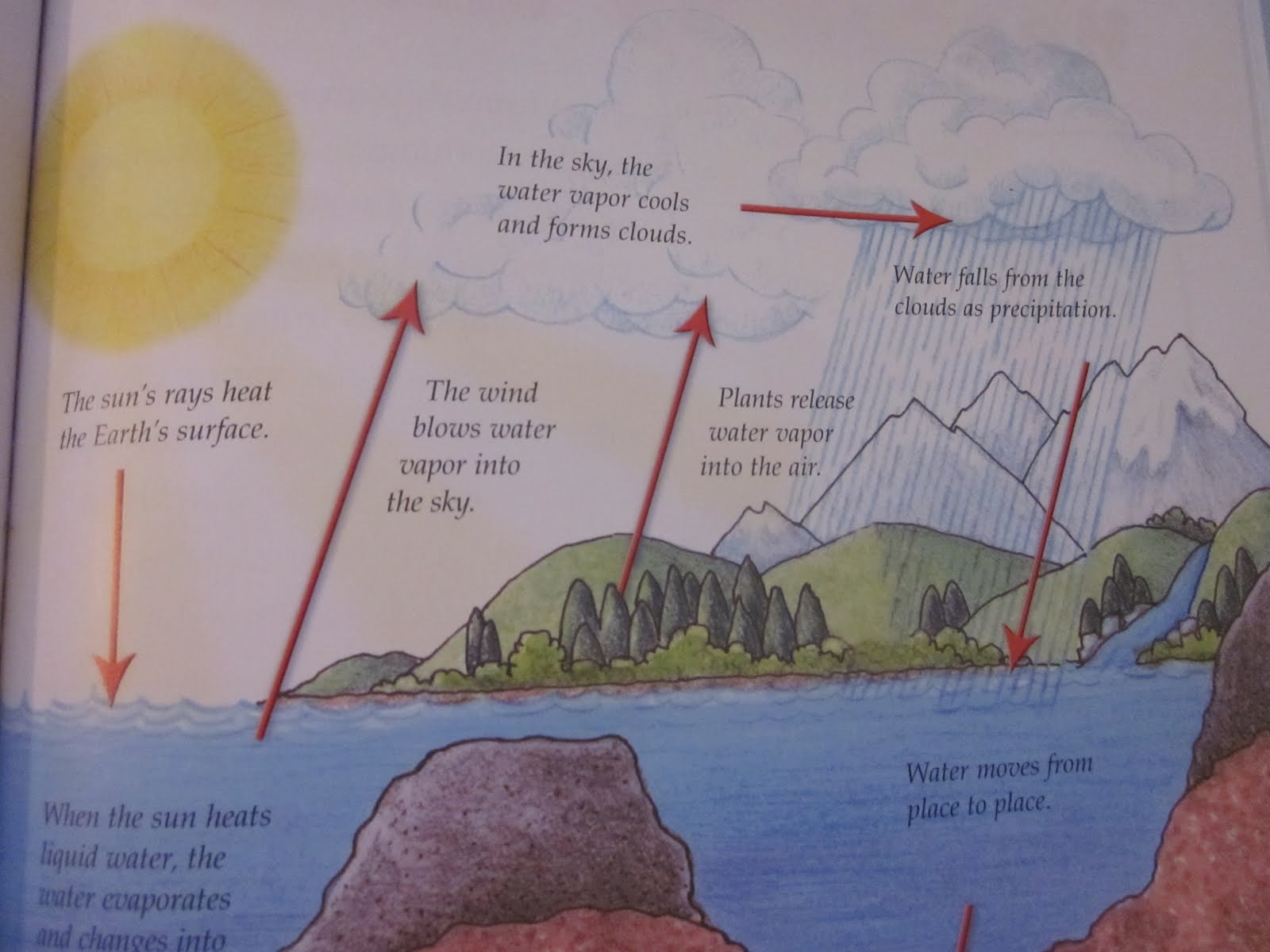 Kindergarten Homeschool Ideas Water Cycle Song