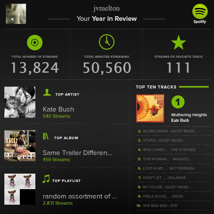 2PzNaPpod My Spotify Year In Review 2013