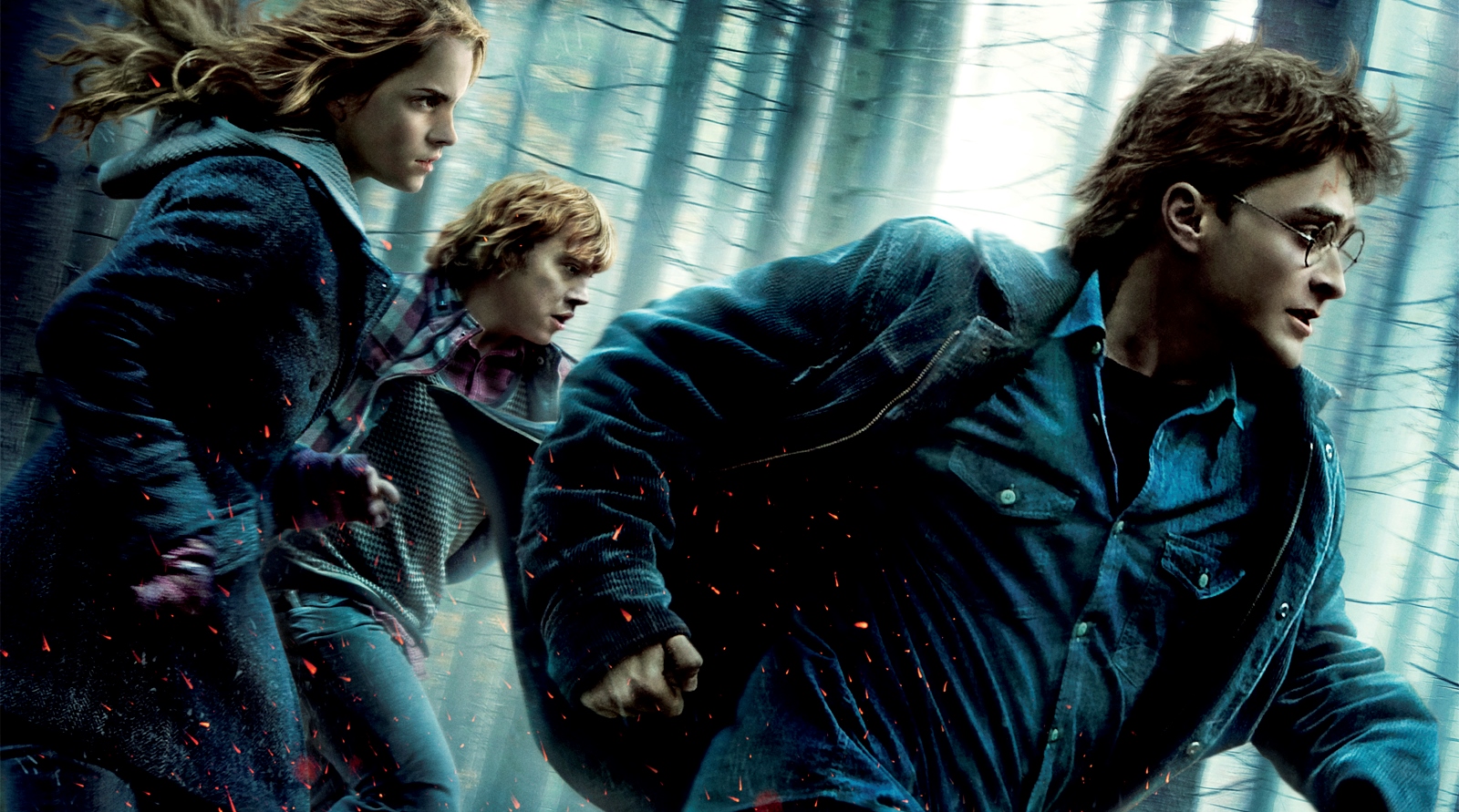 Harry Potter e as Relíquias da Morte: Parte 1 (Harry Potter and the Deathly  Hallows: Part 1, 2010)