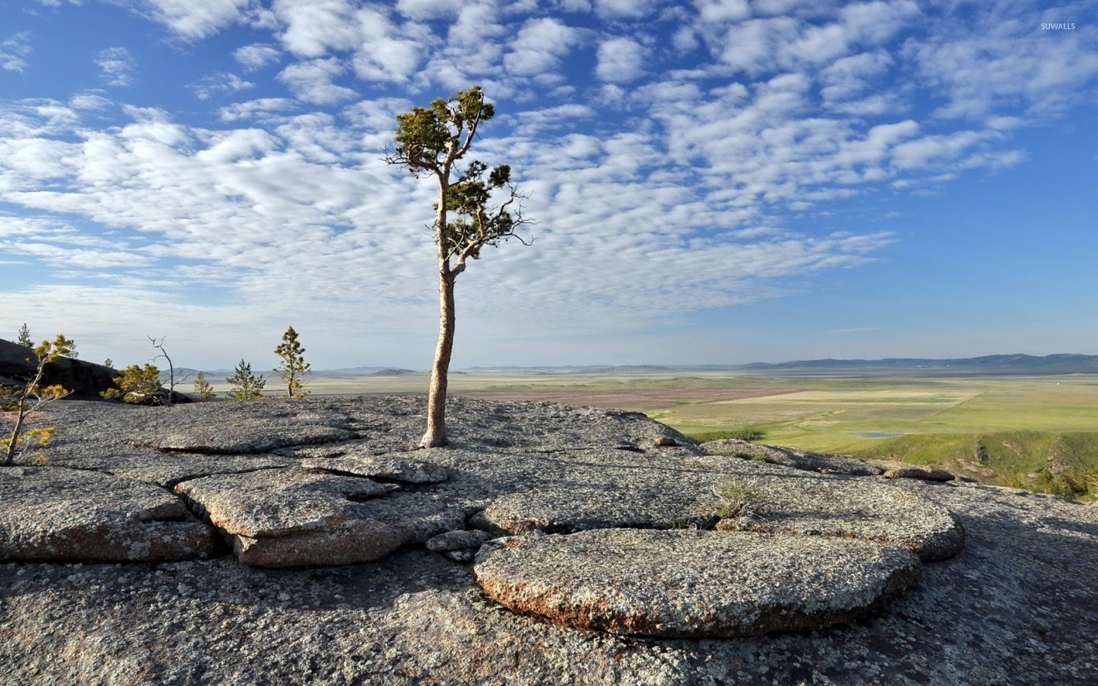 Wealth (2nd house) based on Keanu Reeves' chart Discovering the soul