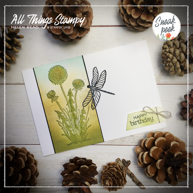 Dandy Garden Wishes Dragonfly Stampin Up