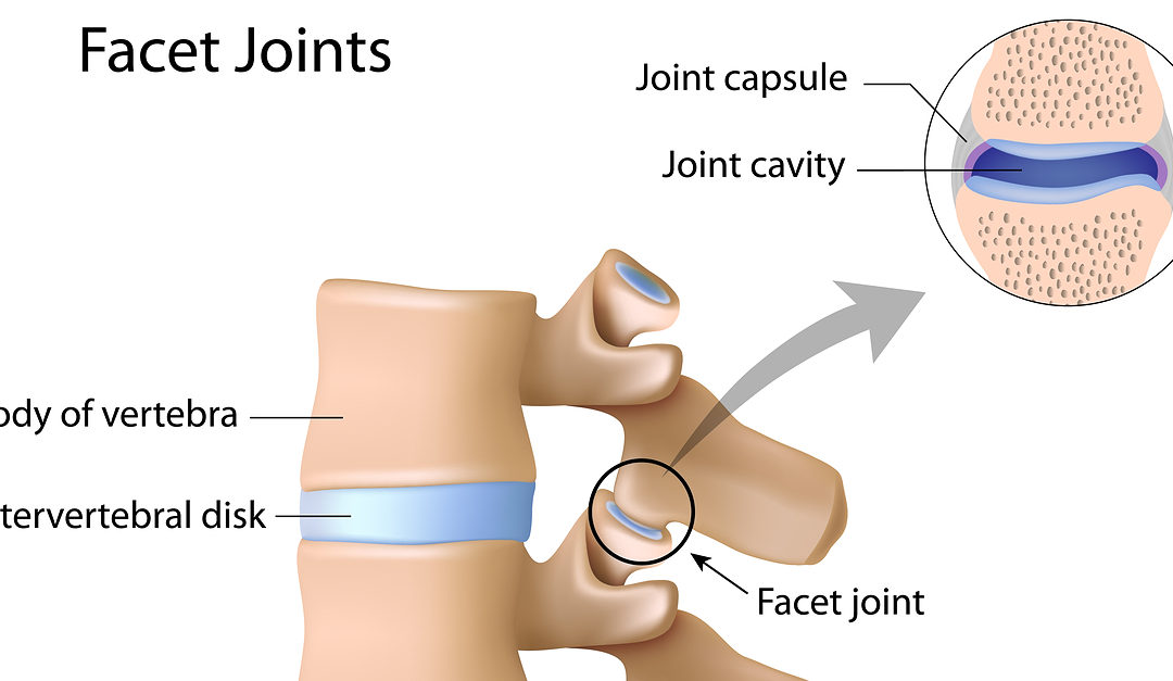 Clinical Reasoning of Lumbar Spine and SI Joint Dysfunction Dr