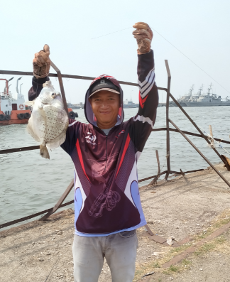 Jenis Jenis Ikan Pinggiran Laut Yang Memiliki Rasa Daging Lezat Aliems Journey