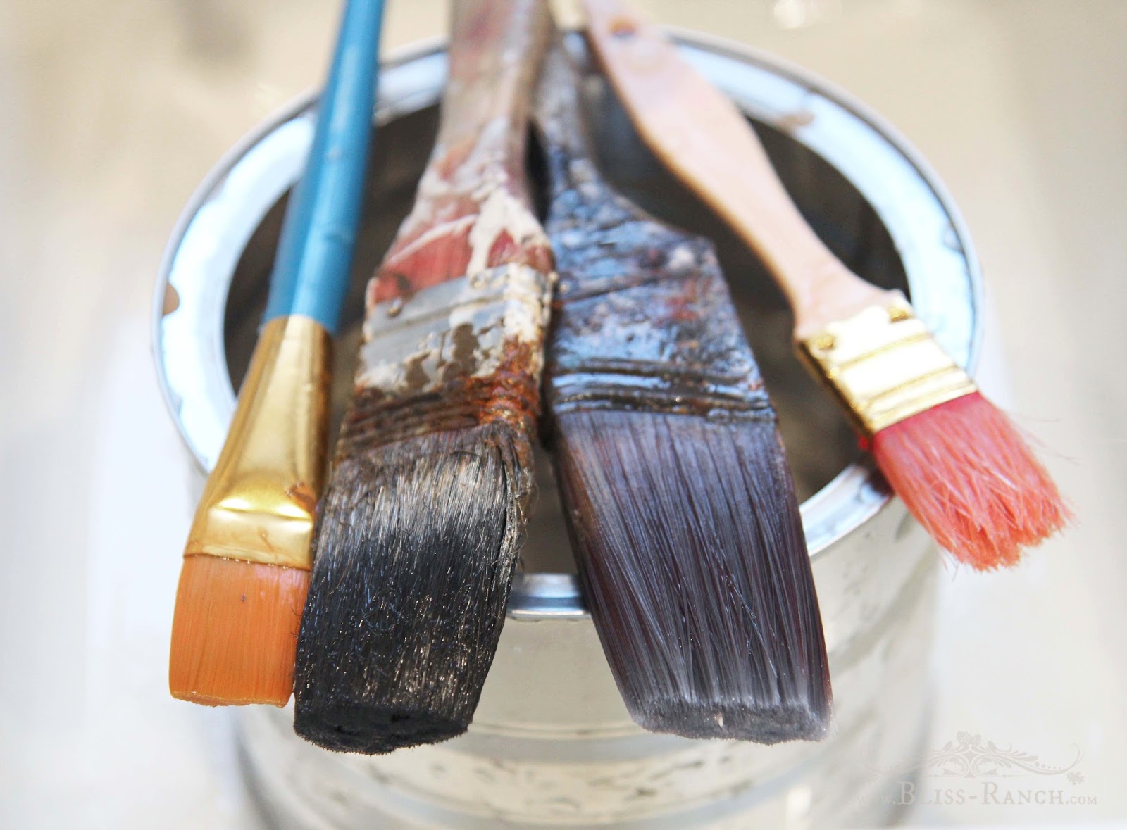 Bliss Ranch Fusion Paint Brush Cleaner