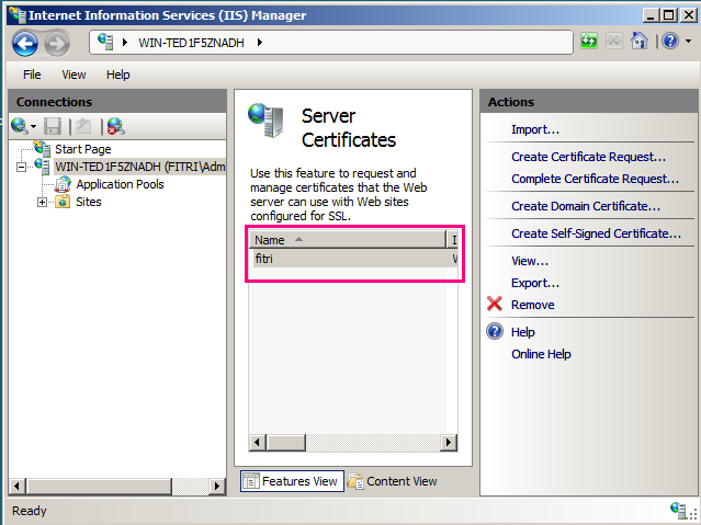 Request manager. Features view IIS. Q Manager.