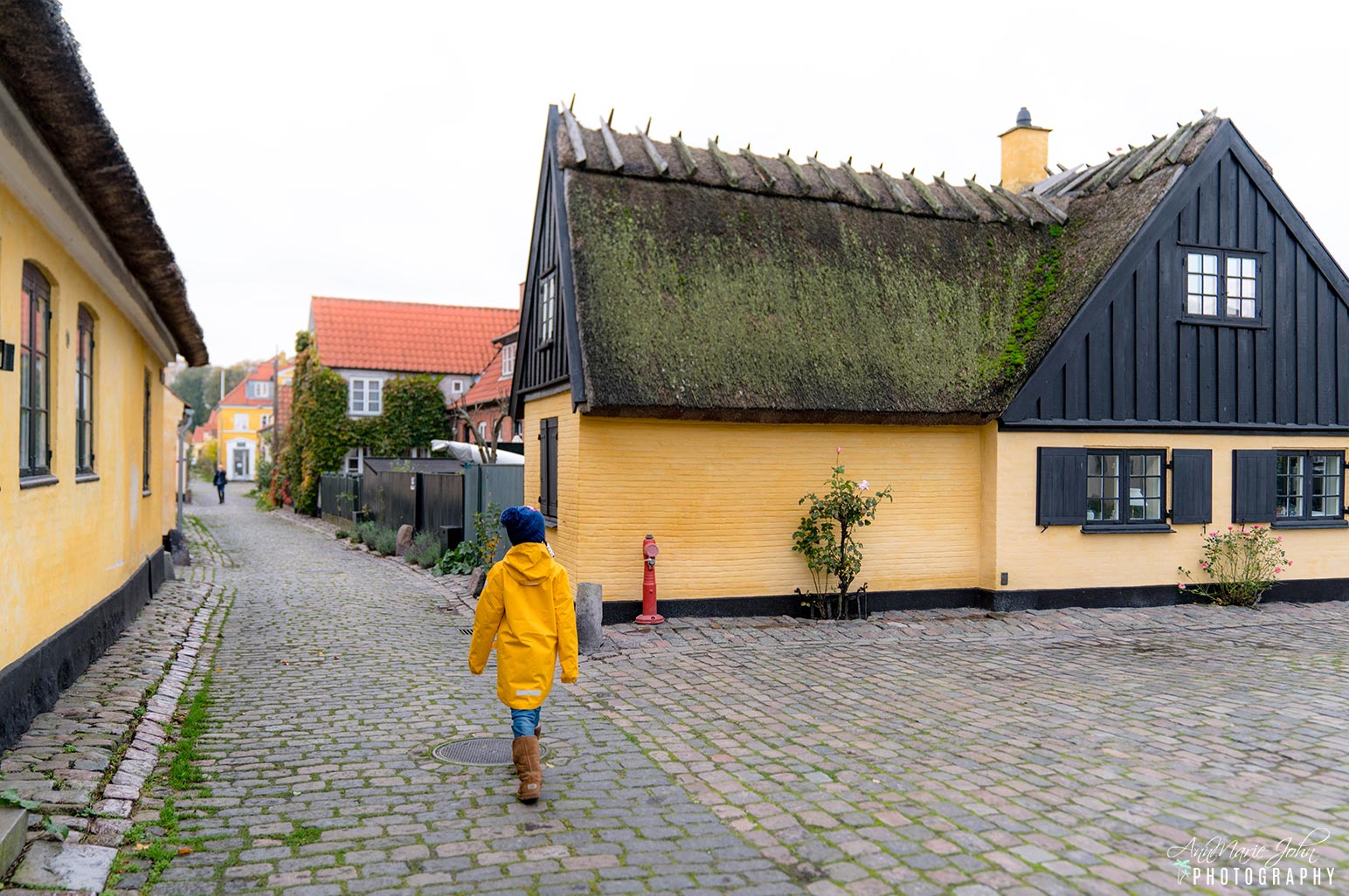 Free and Cheap Things To Do in Copenhagen