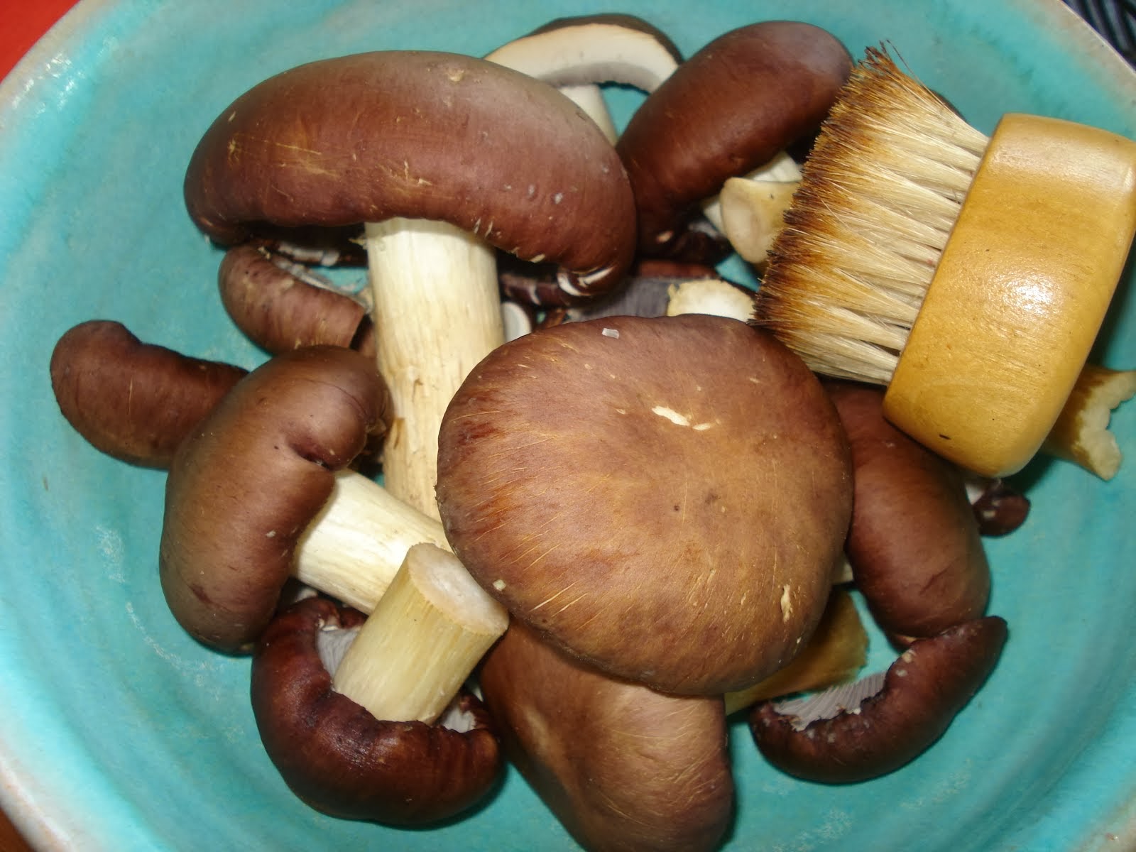 Medicinal Mushrooms