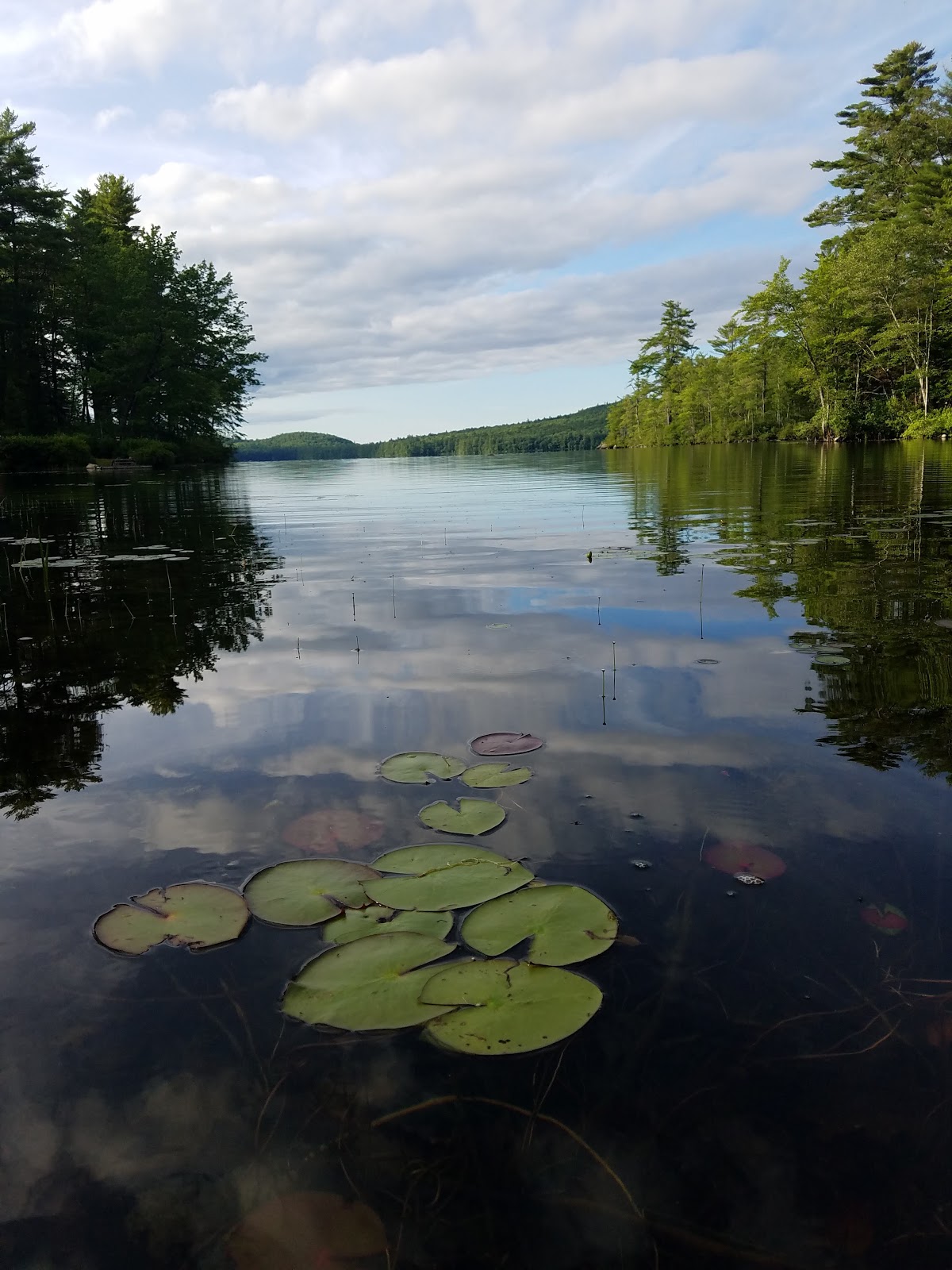 Recreational Kayaking in Maine Peabody Pond, July 16 2020