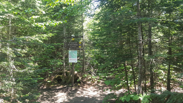 Sentier en direction vers le Round Top (mont Sutton)