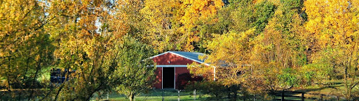 the barn in fall