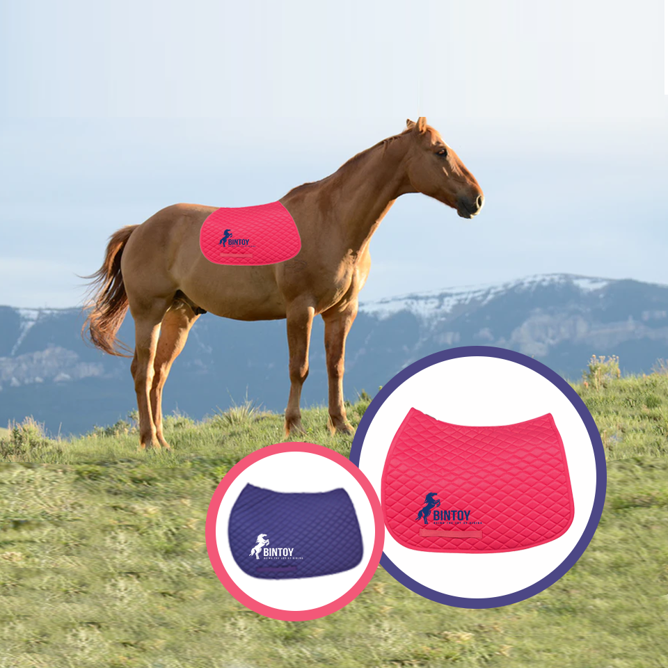 Best Horse Accessories Horse Saddle Pads Functions and Material