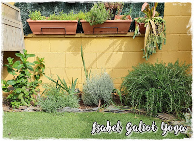 El Cuaderno de Campo: Mi jardín adaptado al bajo consumo de agua