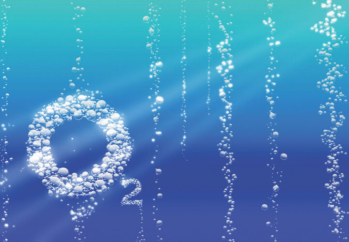 The Story Behind Oxygen Discovery BIRO.CO