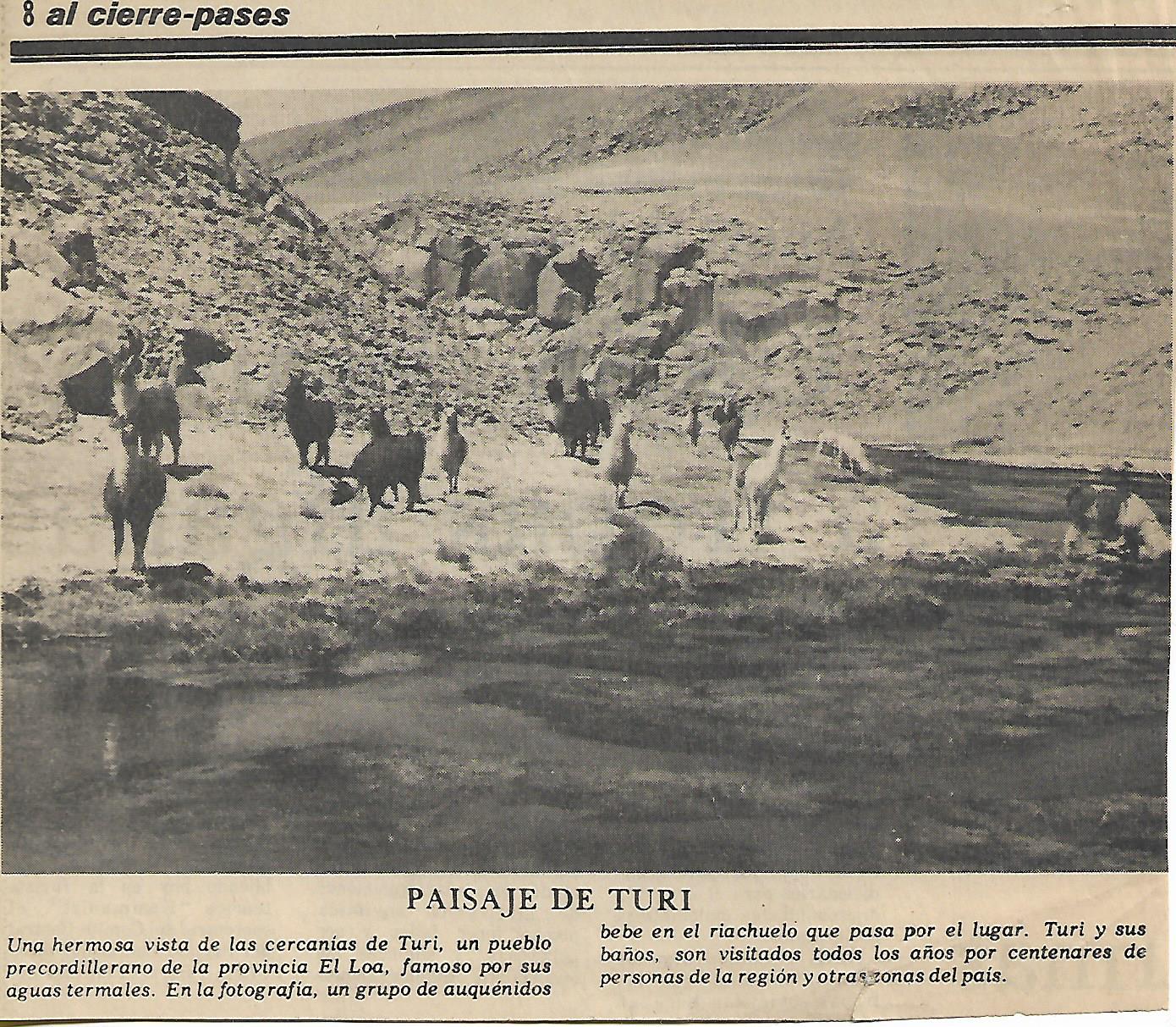 Provincia El Loa Futura Región mayo 2020