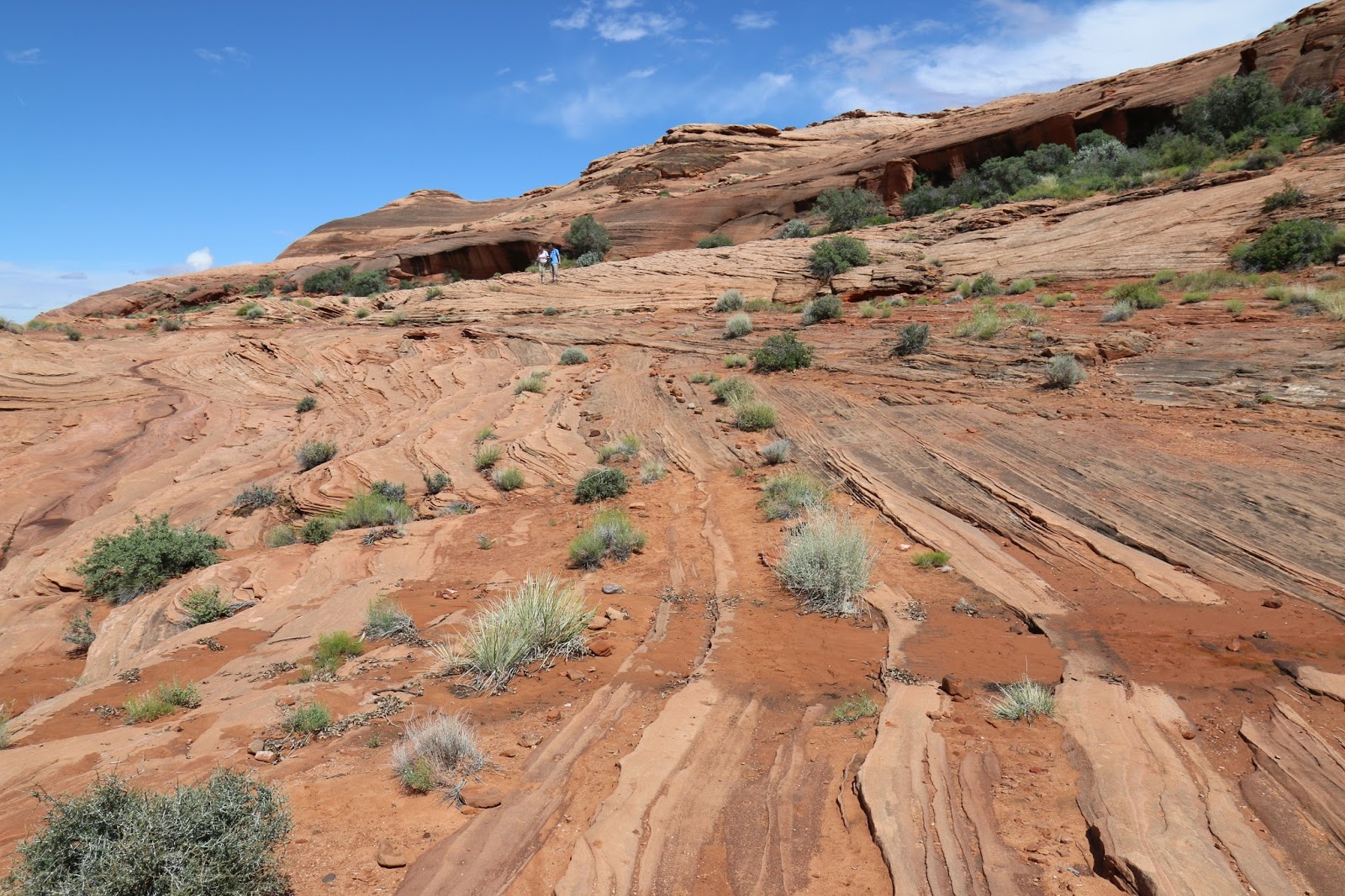 Gjhikes Com Hanging Garden