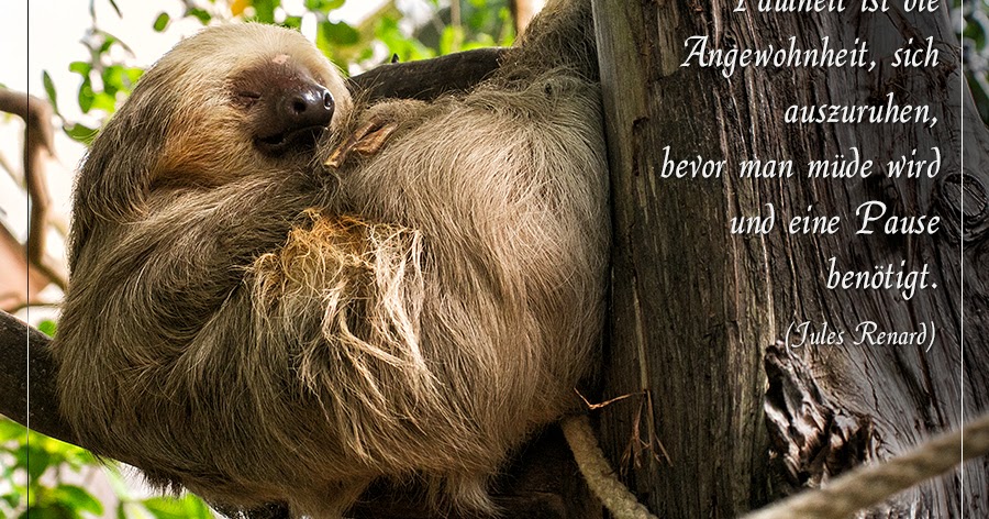 Get Auszeit pause spruch Desktop Wallpaper