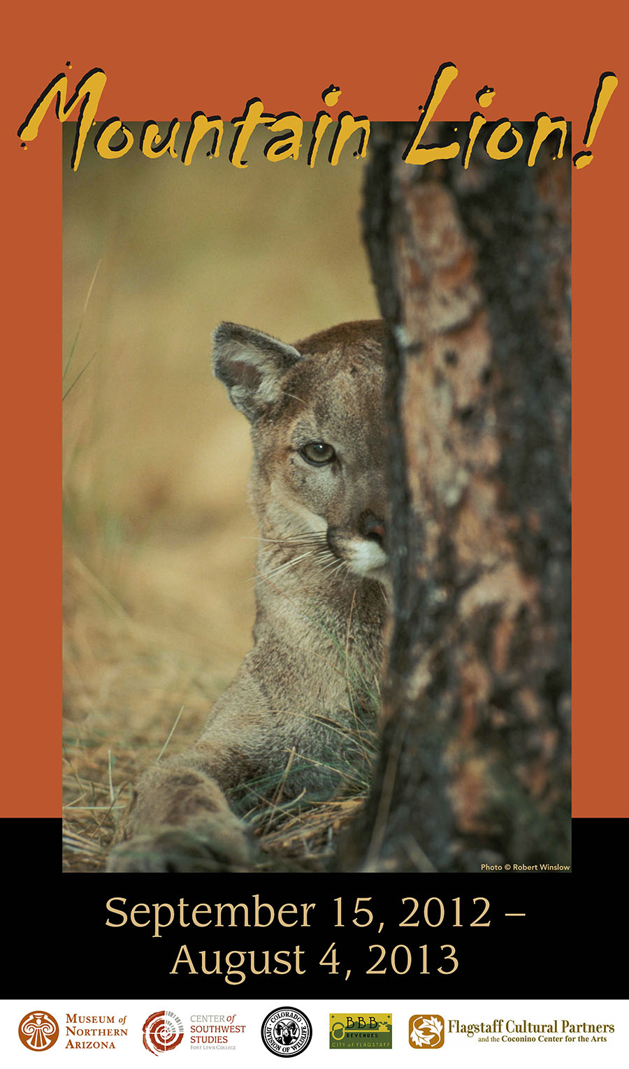 CSWS Program Calendar Mountain Lion exhibit travels to The Museum of