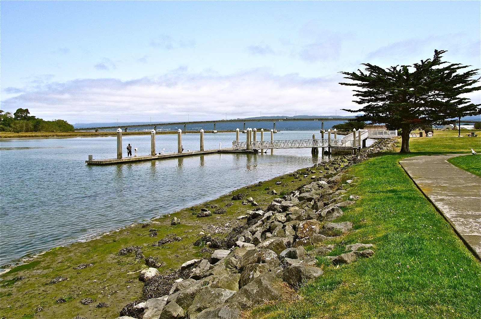 "CALGARY STAMPEDE TRIP" "HUMBOLDT BAY WATERFRONT IN EUREKA, CA"