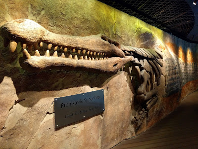 Крокодил доисторического периода