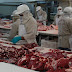 Produce Michoacán más de 251 mil toneladas de carne bovina