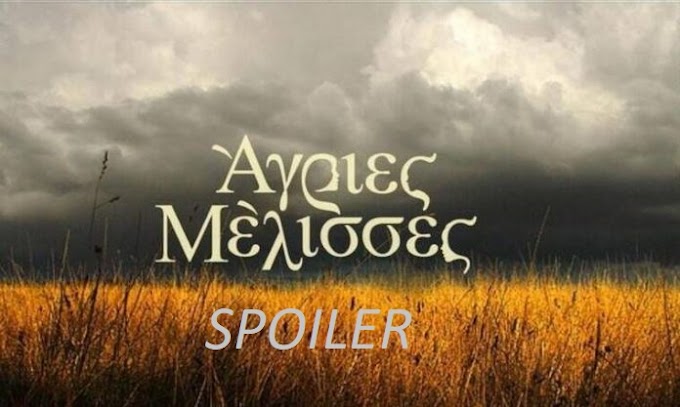 Ανατροπές στις Άγριες Μέλισσες – Τι θα δούμε στο επεισόδιο 81