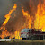 Kebakaran, 2 Hektar Hutan Produksi Dilahap Api