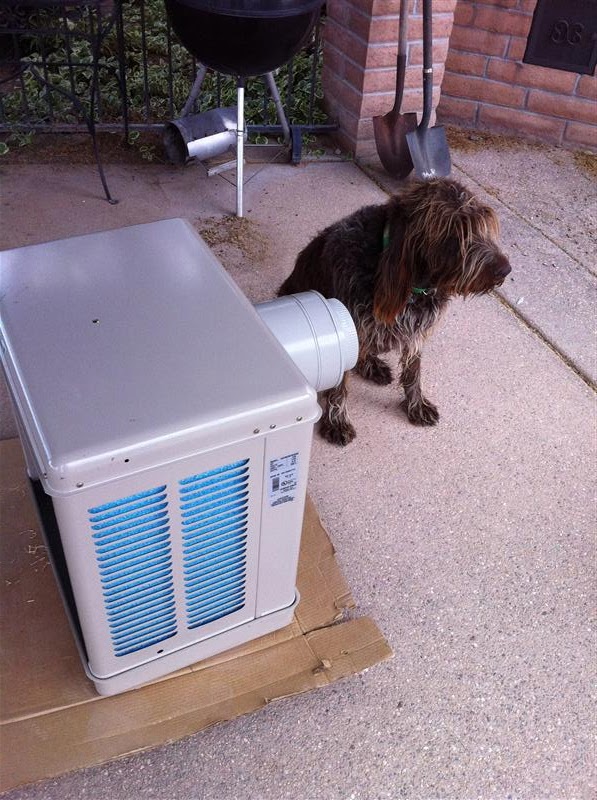 Adventures at Lazy C Dog House Swamp Cooler