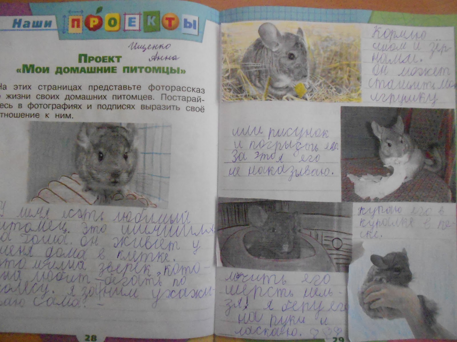 Фоторассказ о домашнем питомце