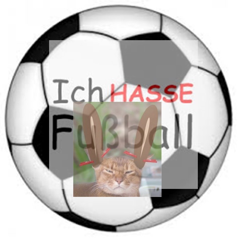 Wo Wurde Der Fußball Erfunden Von Bern über München und Rom nach Rio.